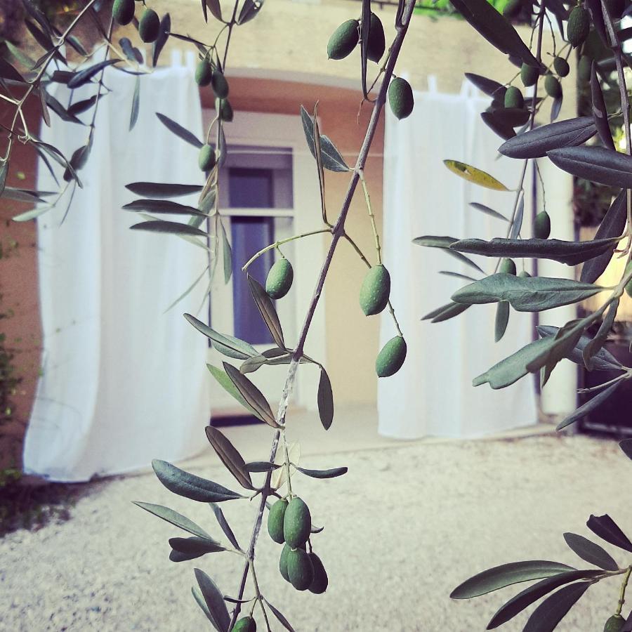 La Villa Jasmin Montauroux Exterior photo